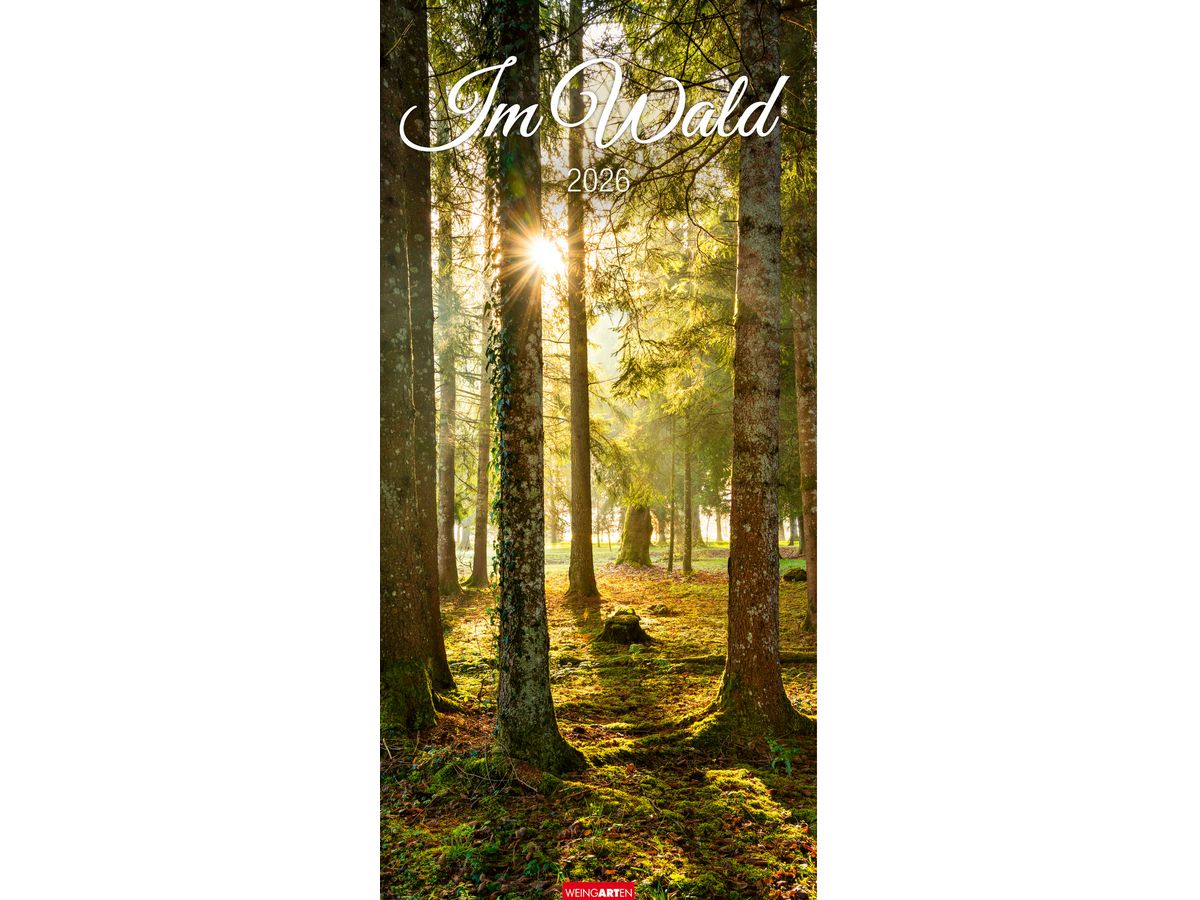 WEINGARTEN Calendario 2026 3150200+26 Im Wald DE 33x68cm (9783839902189)