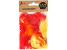 I AM CREATIVE Plumes décoratives 3g 4060.41 Mix 1, 5-8cm (7611983212200)