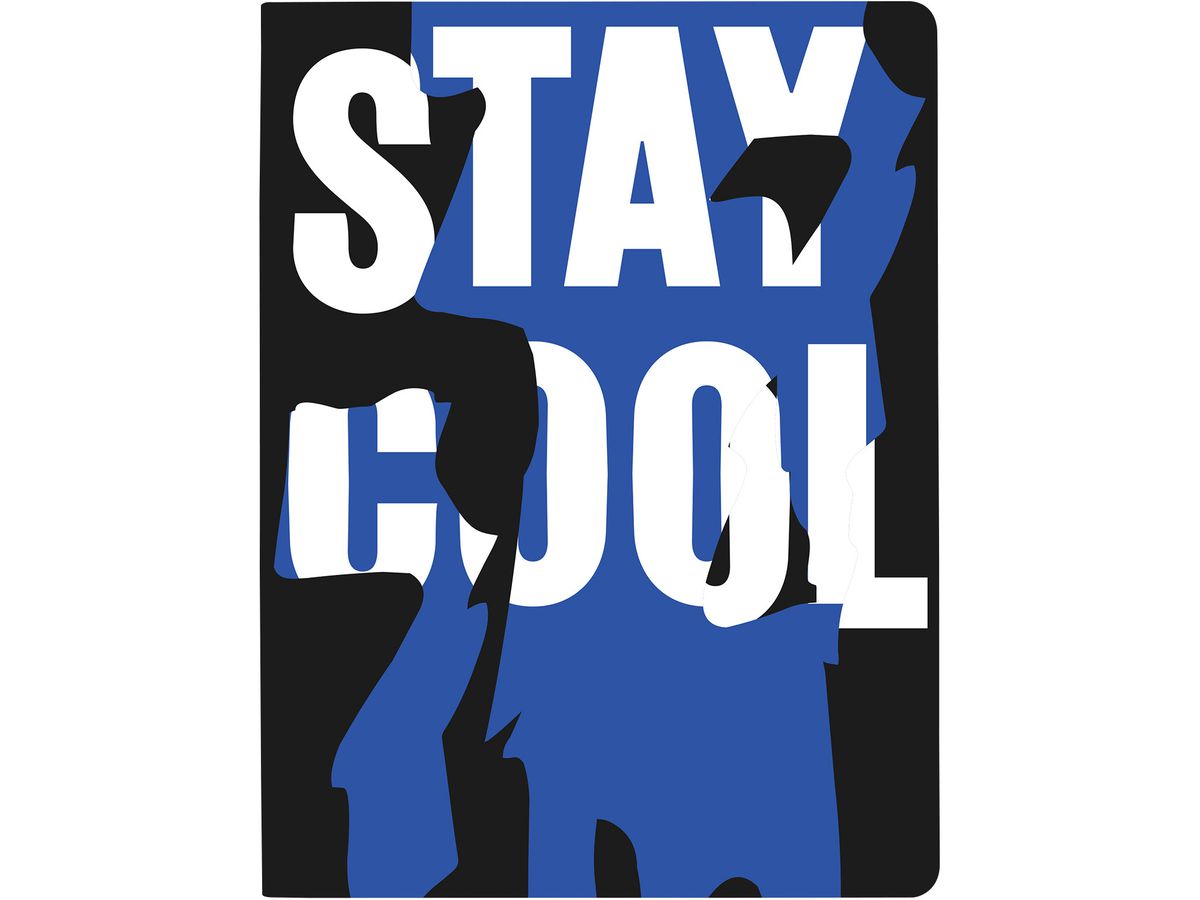 NUUNA Cahier de notes Graphic L 55713 STAY COOL 256 pages (4260358555713)
