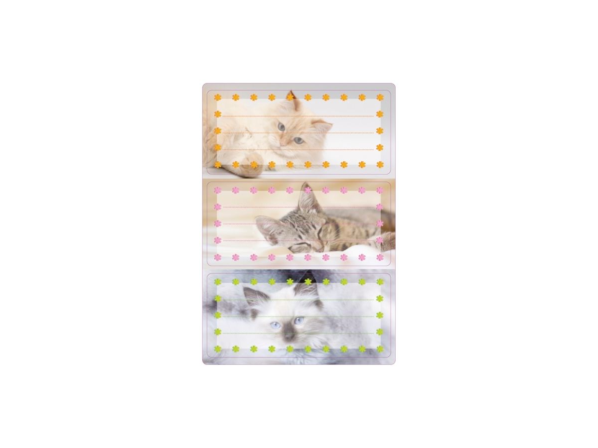 HERMA Schuletiketten 5569 Motiv 6 Stück (4008705055697)