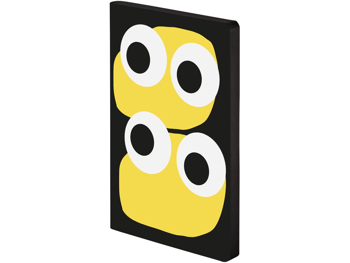 NUUNA Cahier de notes Graphic M 55799 JIM 176 pages (4260358555799)