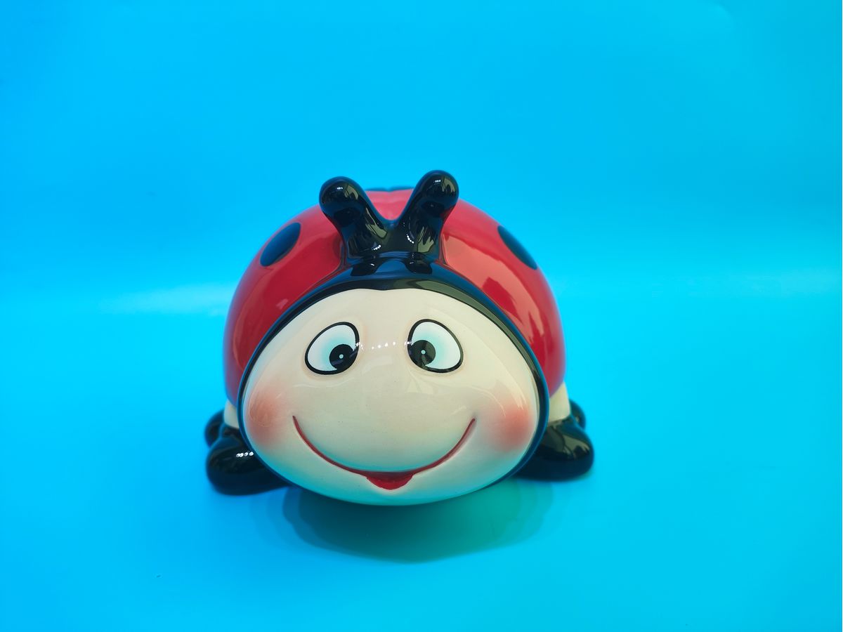 ROOST Tirelire 17.5x16x11cm TG22115-1 Coccinelle (7613532080759)