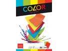 ELCO Universalpapier Color A4 74616.00 80g, 5-farbig 5x40 Blatt (7610425364408)