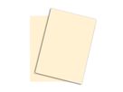 PAPYRUS Rainbow Papier FSC A3 88042258 hellchamois, 160g 250 Blatt (7318761035876)