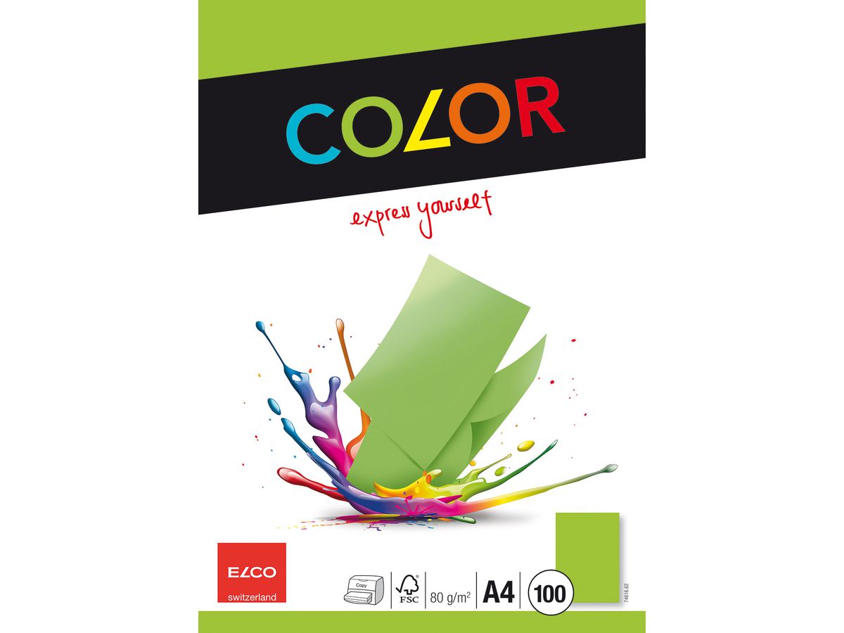 ELCO Office Color Carta A4 74616.62 80g, verde 100 fogli (7610425327502)