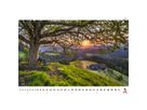 CALENDARIA Bildkalender 2026 9783036205250 Impressionen ML 48x33cm (9783036205250)