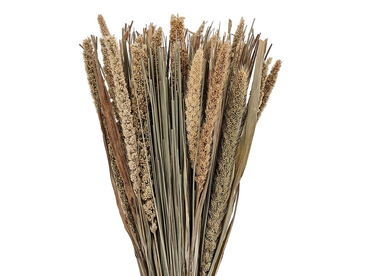 EGLO Fleur séchée 45cm 428046 marron (9008606258703)