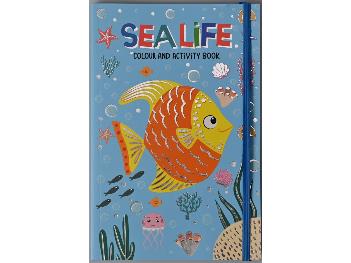 ROOST Libro di attività Sea life B070 21x14cm (8711851070105)