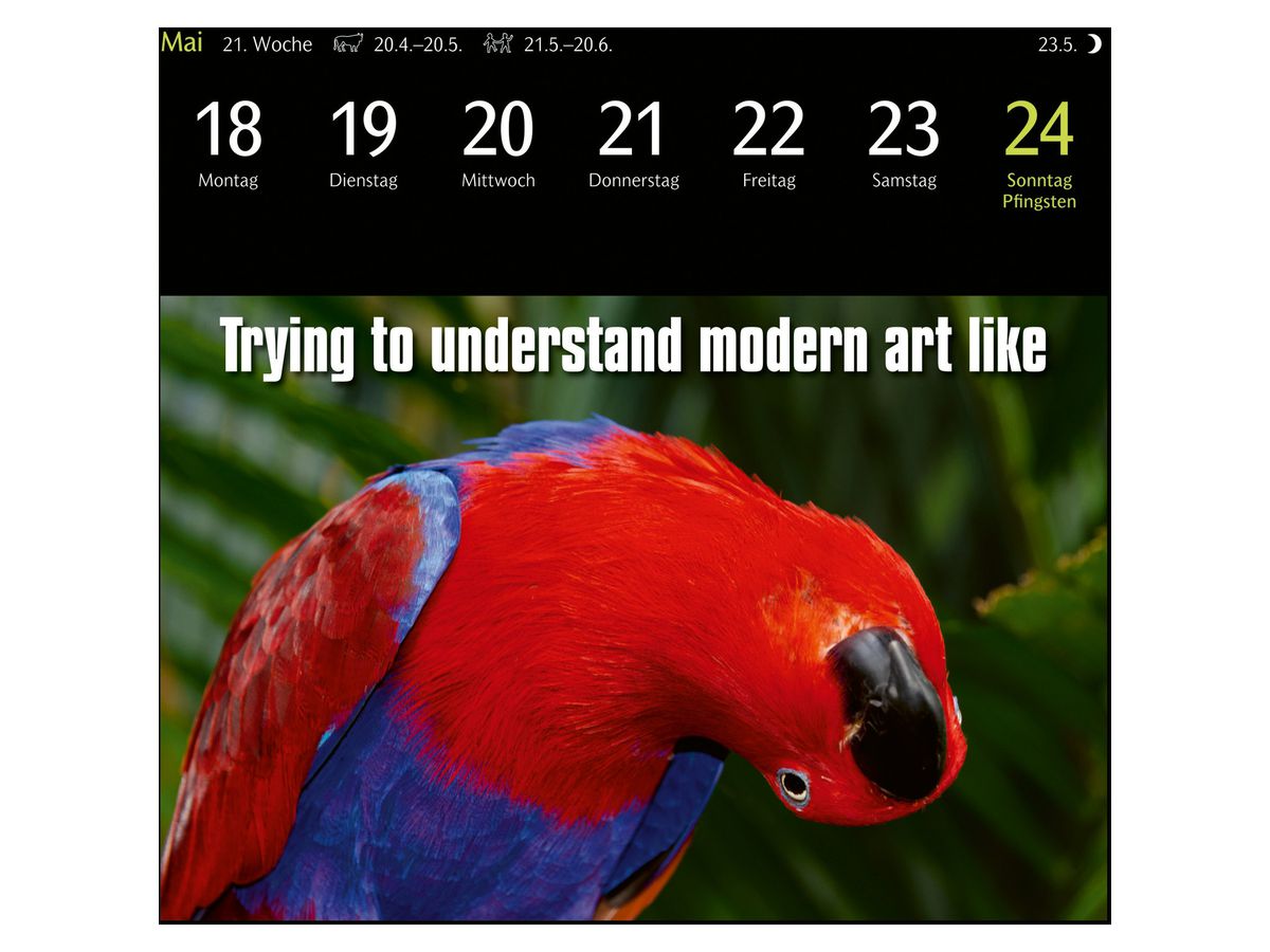 HARENBERG Postkartenkalender 2026 3310183+26 Animal Memes 16x17.5cm (9783840037467)