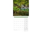 ACKERMANN Bildkalender 2026 4611 Zauber des Waldes ML 30x30cm (9783838446110)
