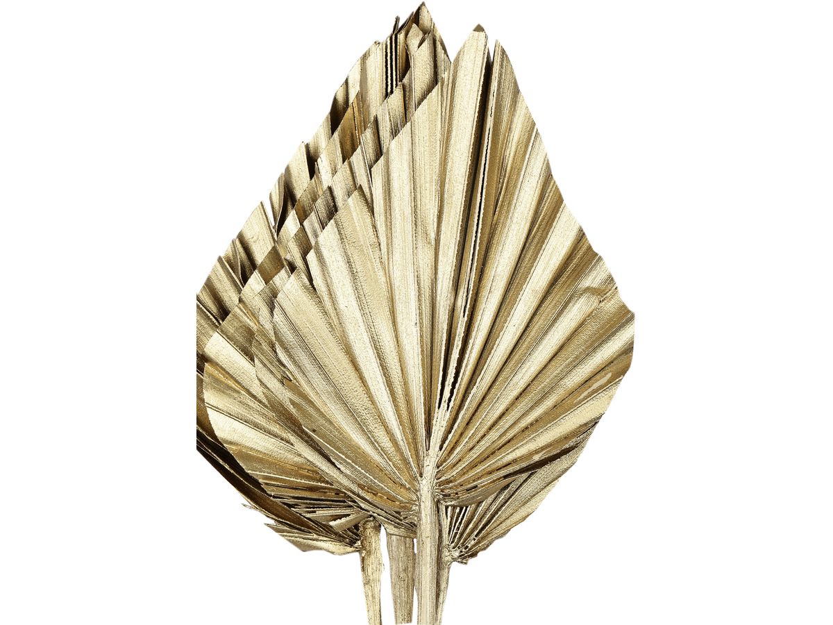 EGLO Fleur séchée 45cm 428054 or (9008606258772)