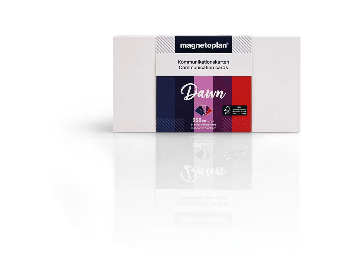 MAGNETOPLAN Schede comunicazione 20x10cm 112501520 Set Dawn, ass. 250pz. (4013695066967)