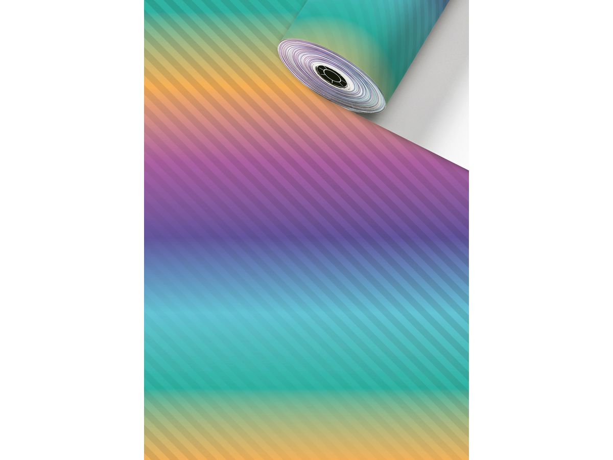 STEWO Apparecchio rotoli di carta 2521519880 Florida 0.3x250m (7630050885680)