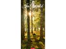 WEINGARTEN Calendario 2026 3150200+26 Im Wald DE 33x68cm (9783839902189)
