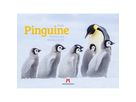 ACKERMANN Bildkalender 2026 2689 Pinguine ML 45x33cm (9783838426891)
