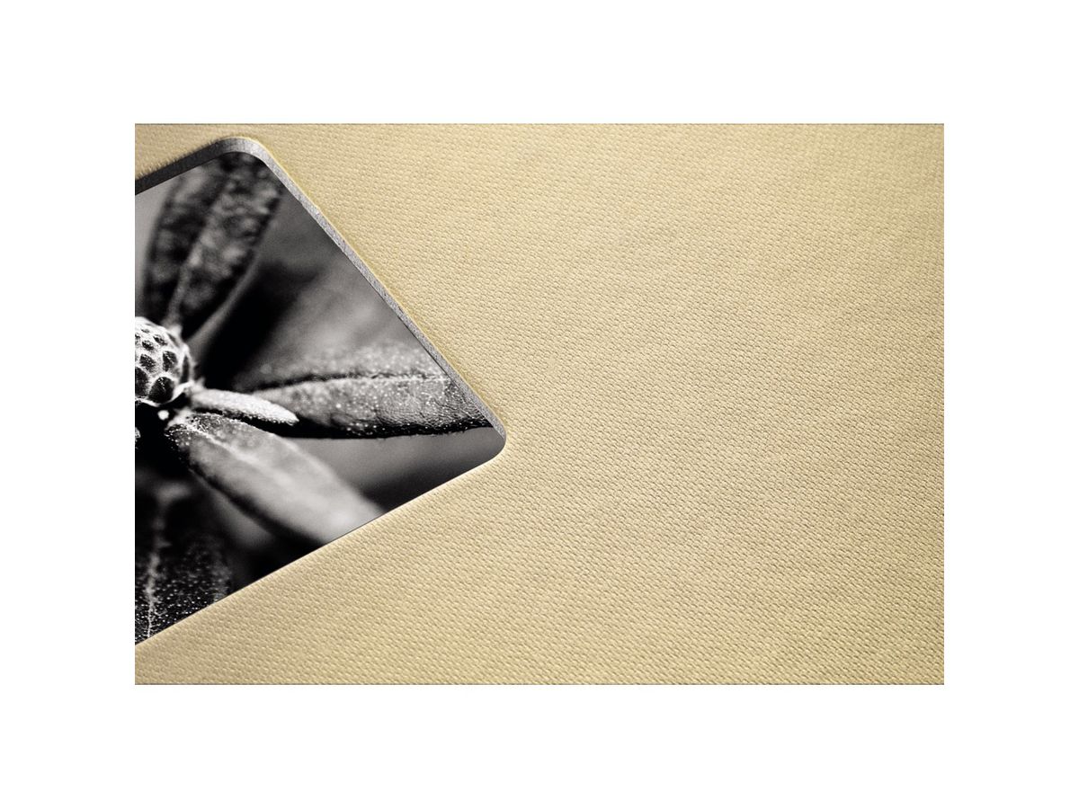HAMA Album Fine Art 36x32cm 10609 taupe 25 pagine (4007249106094)