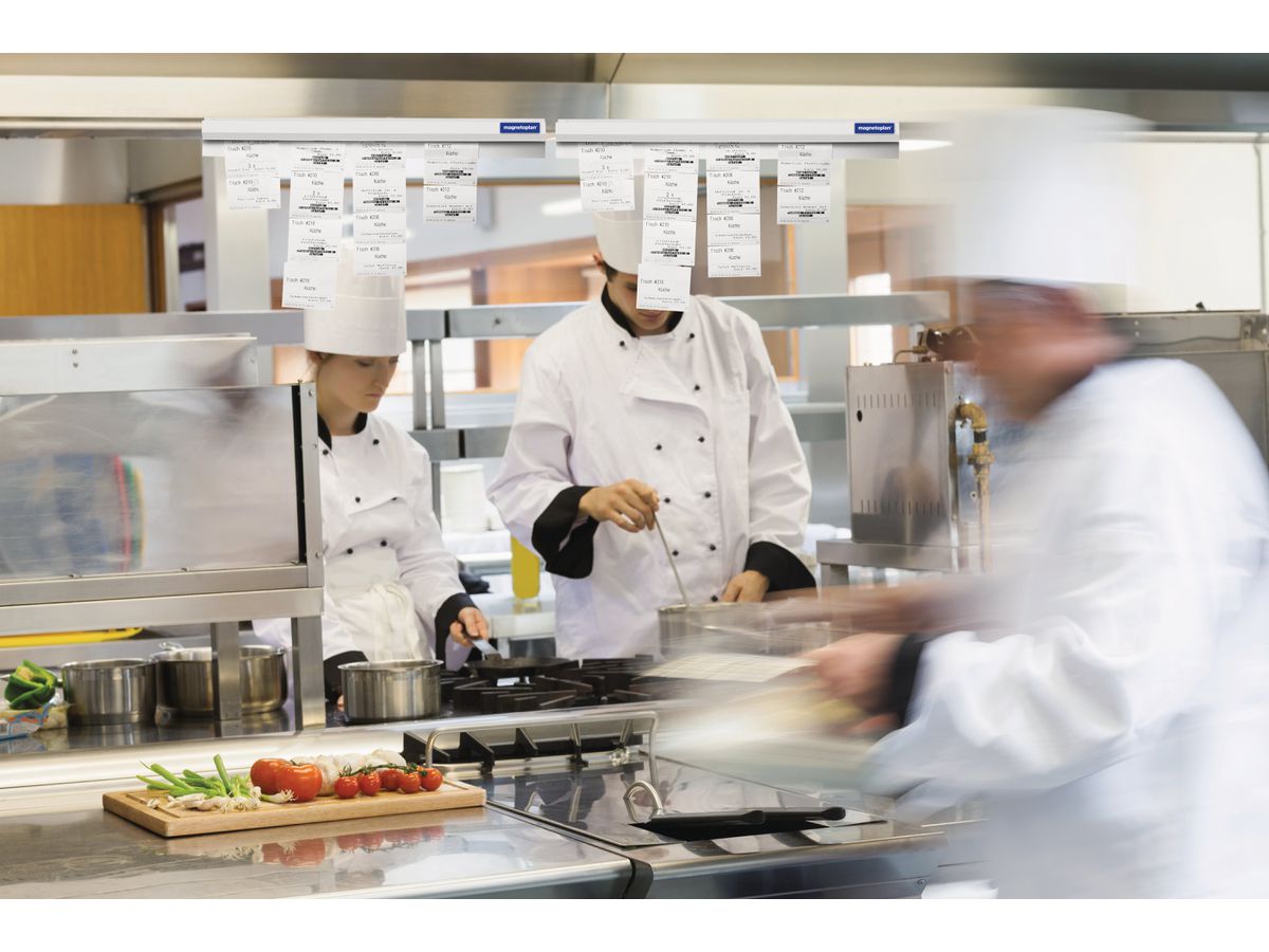 MAGNETOPLAN Catch-Ball bornier 500mm 21009500 Aluminium (4015544626506)