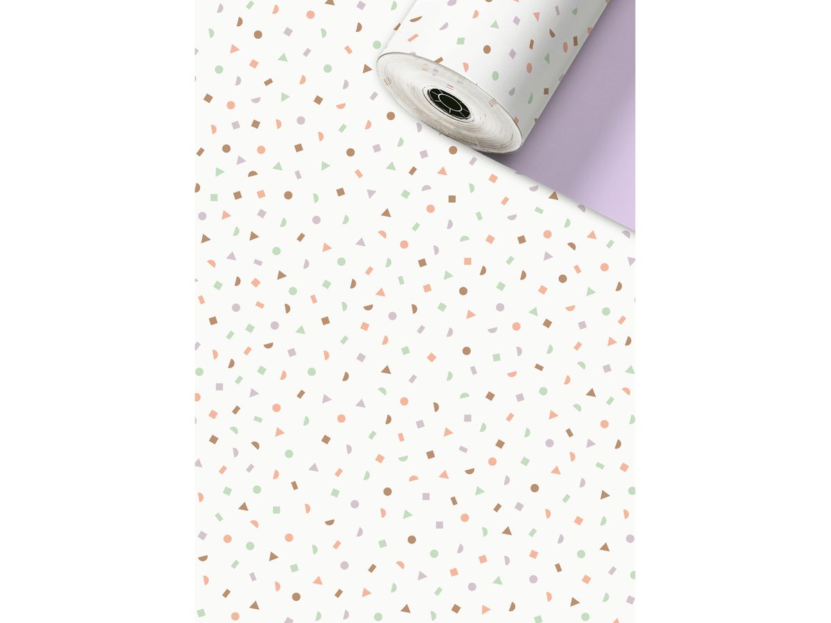 STEWO Apparecchio rotoli di carta 2523530135 Luc 0.7x250m (7630050869277)