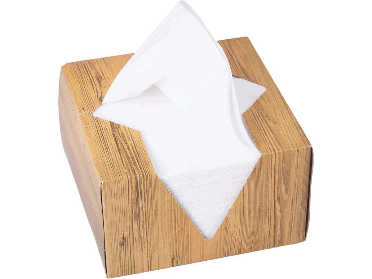 ELCO Boîte à serviettes 33x33cm 33402100-001 3 plis, blanc 100pcs. (7612614062133)