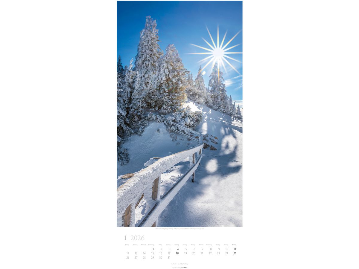 WEINGARTEN Calendario 2026 3150200+26 Im Wald DE 33x68cm (9783839902189)