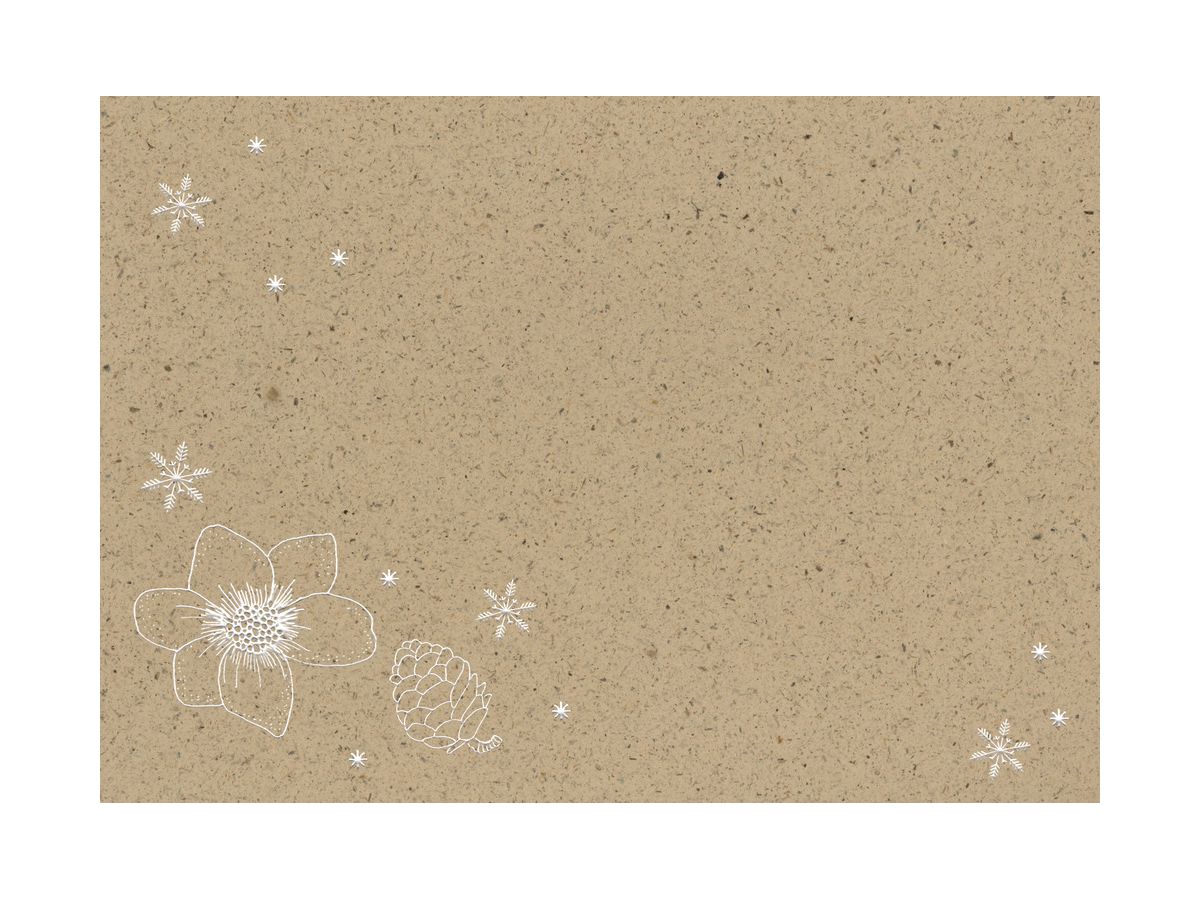 COPPENRATH Calendario dell'avvento forma 95283 magia della natura invernale (4050003952833)