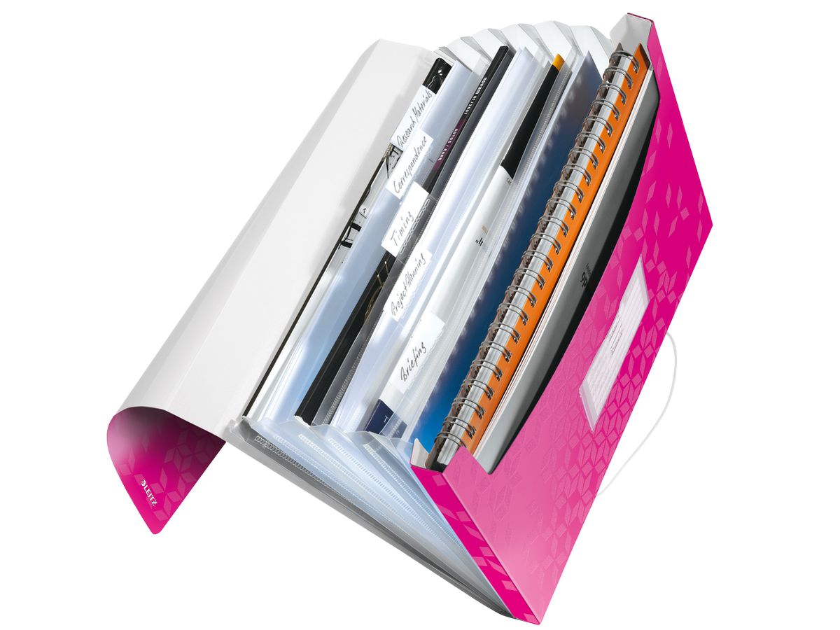 LEITZ Cartella progetto WOW A4 45890023 metallic pink (4002432105991)