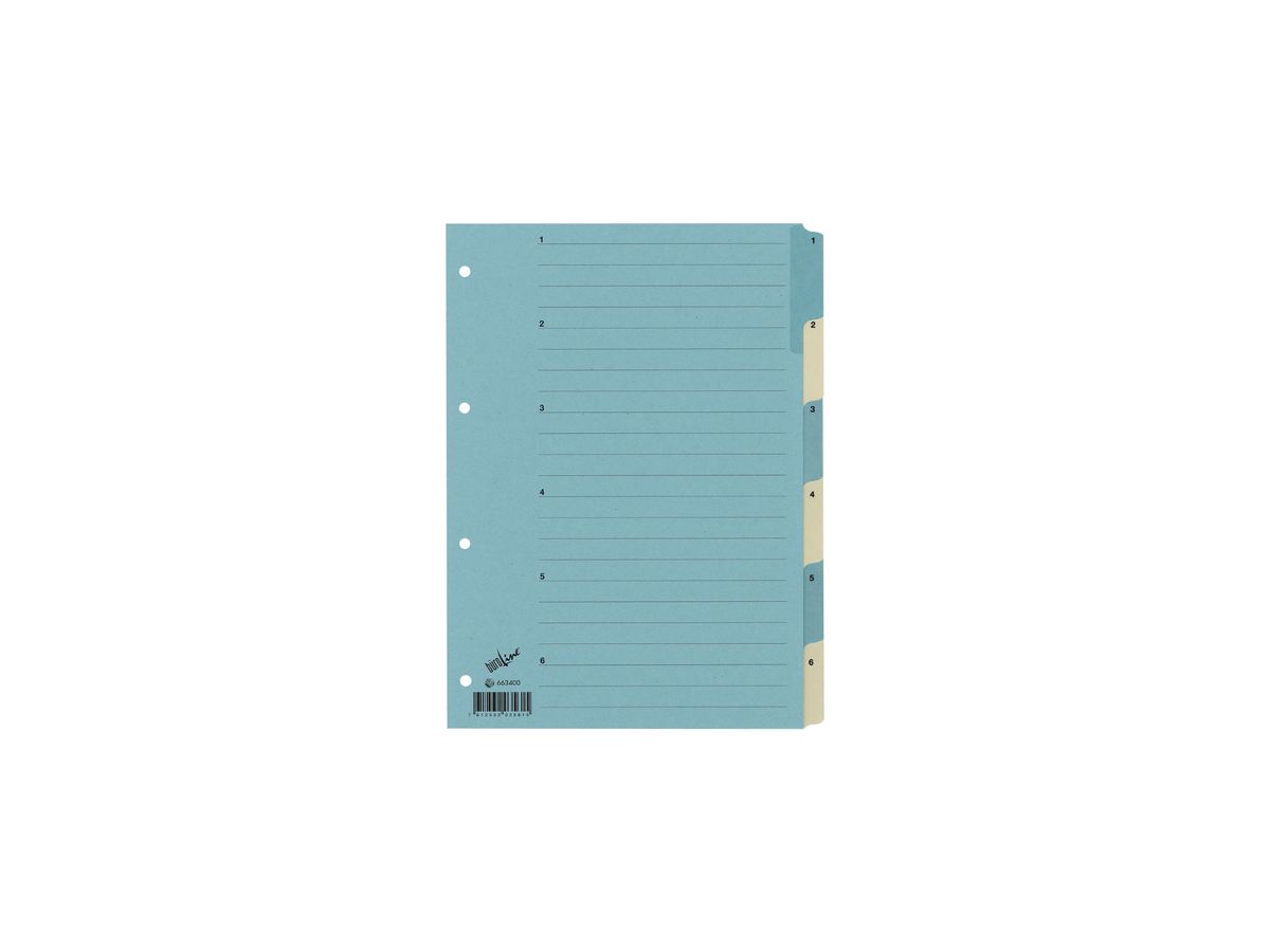 BÜROLINE Kartonregister A4 663400 blau/beige 1-6 (7612532035615)