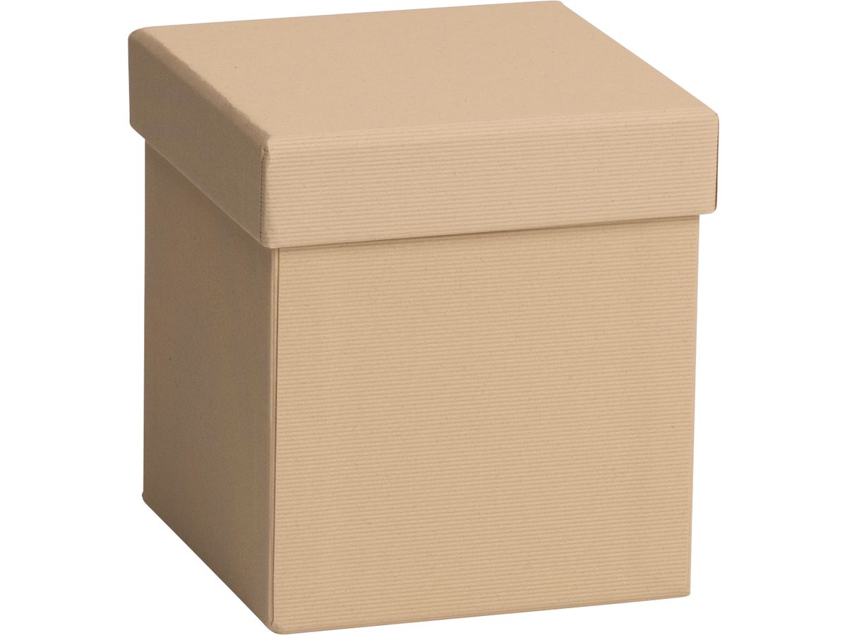 STEWO Geschenkbox One Colour 2551644890 braun hell 11x11x12cm (7630050845707)