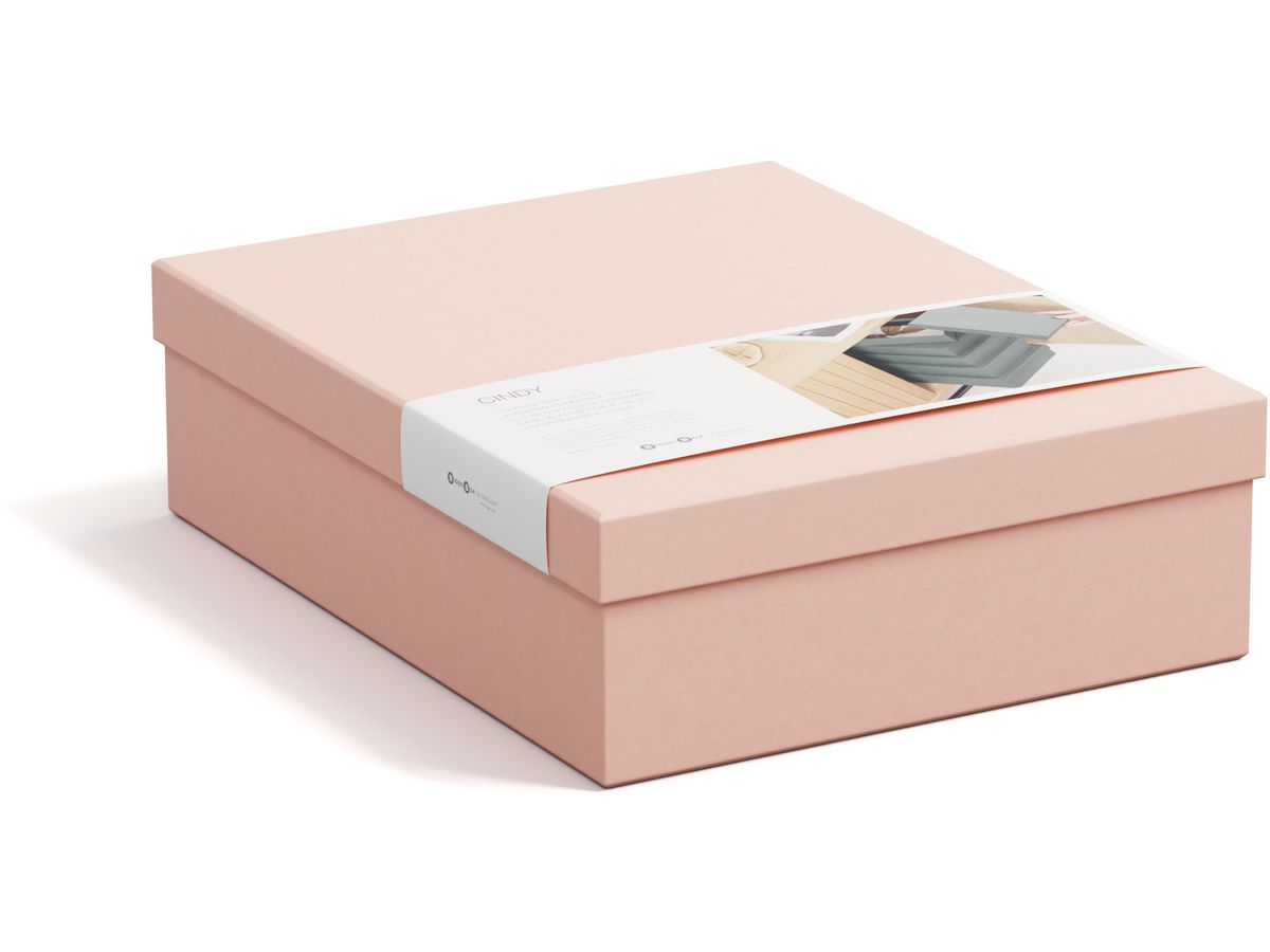 BIGSO BOX OF SWEDEN Scatola portaoggetti Cindy 325552133 dusty pink 5er-Set (7330061084057)