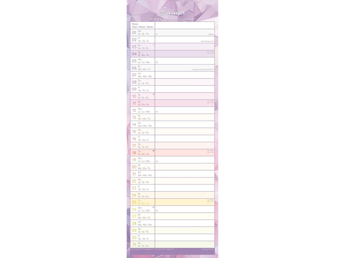 ALPHA EDITION Monatsplaner 2026 360413 Prisma 1M/1S ML 14.8x42cm (4069095004139)
