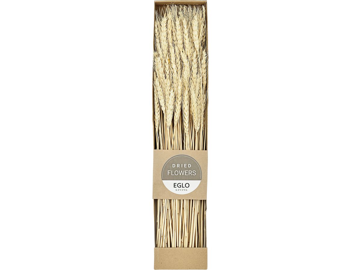 EGLO Fleur séchée 60cm 428037 beige (9008606258628)