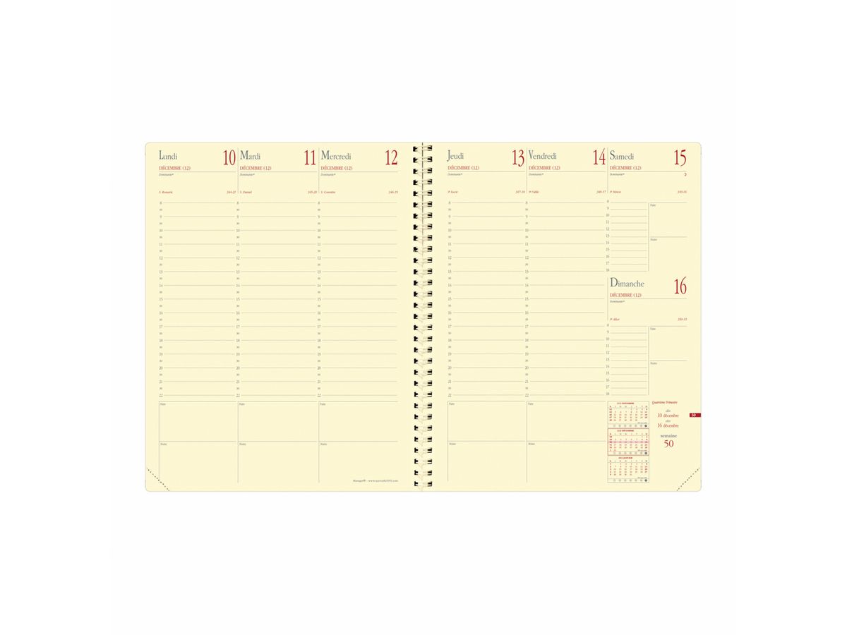 QUO-VADIS Agenda Impala Manager 2026 371056Q 1S/2P noir FR 21x27cm (3371010140343)