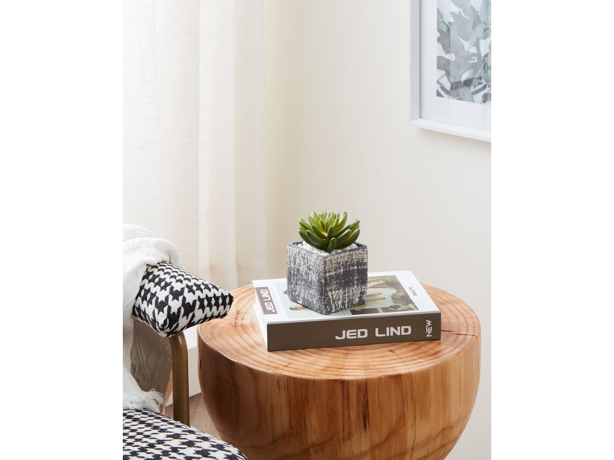 EGLO Plante artificielle 12cm 428007 vert, en pot (9008606253272)