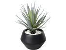 EGLO Plante artificielle 20cm 428496 vert, en pot (9008606367955)