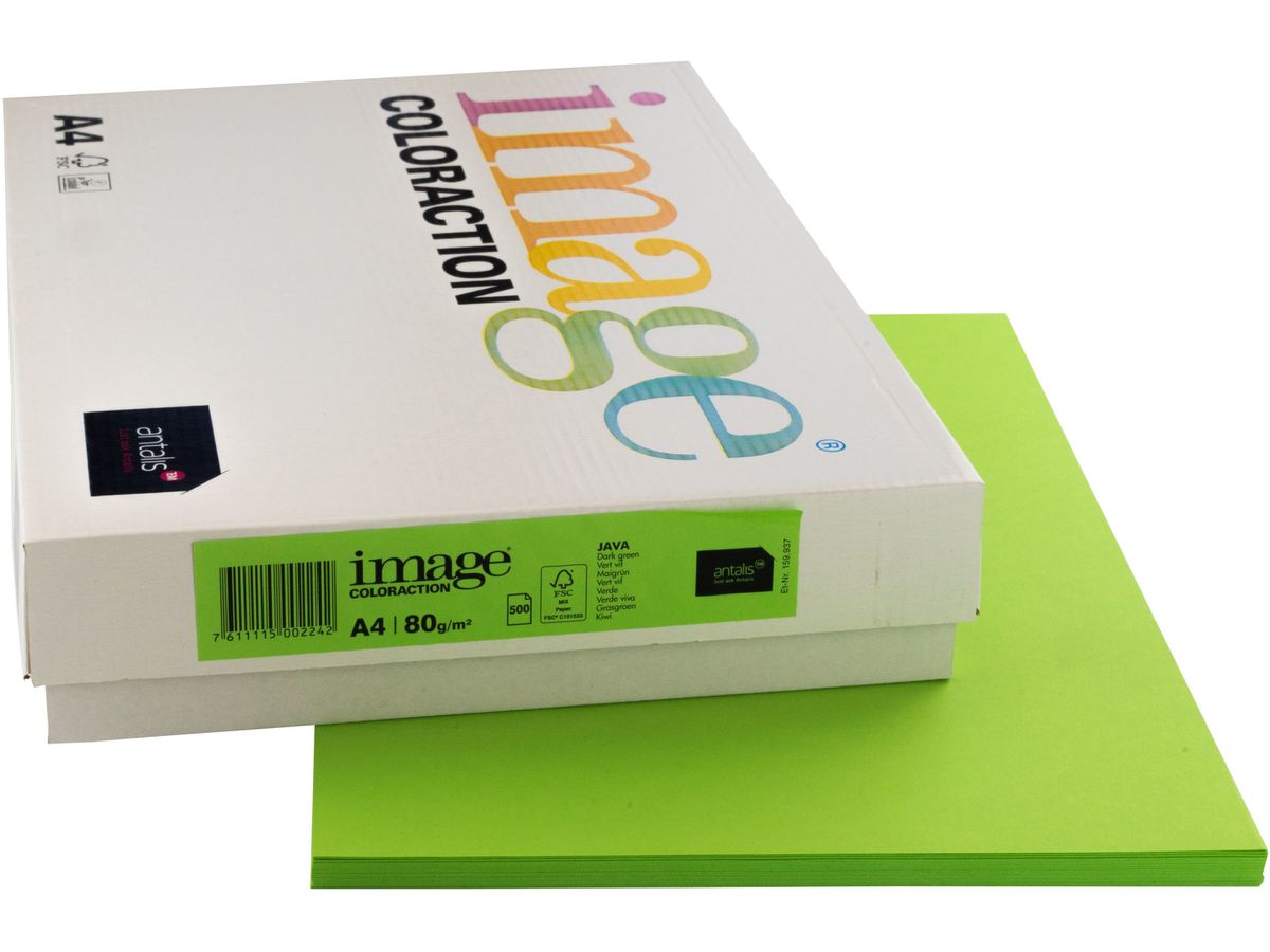 IMAGE COLORACTION Carta per copie Java A4 274583 80g, verde 500 fogli (7611115002242)