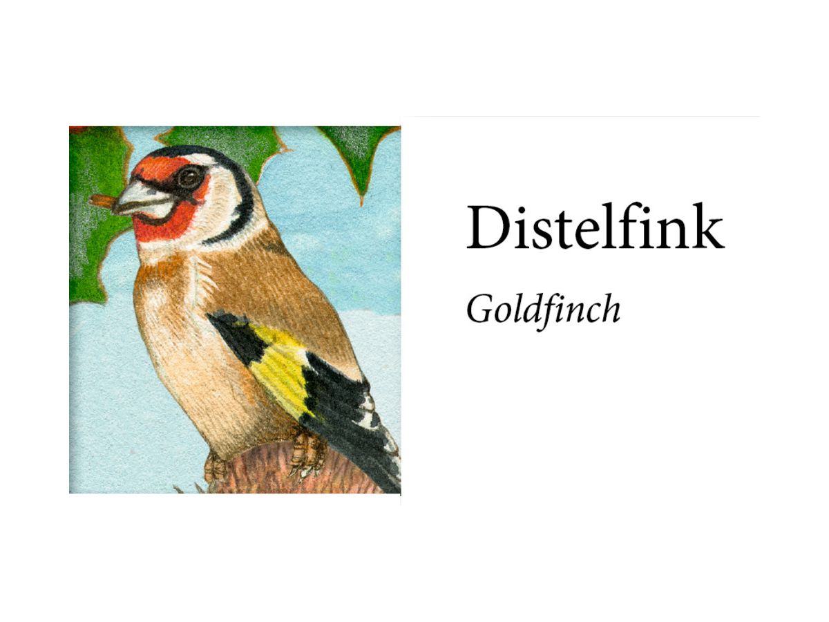 COPPENRATH Calendrier de l'avent sonore 95250 Nos oiseaux en hiver (4050003952505)