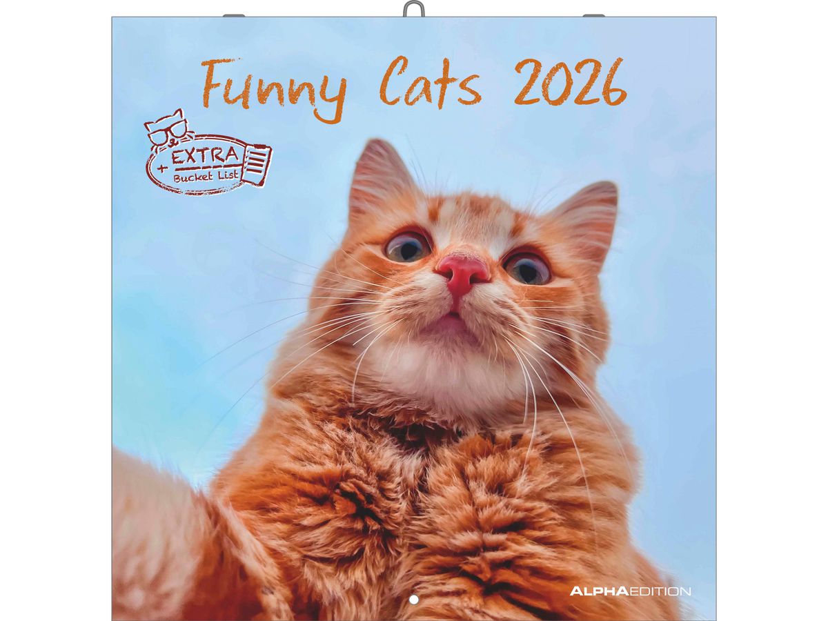 ALPHA EDITION Bildkalender 2026 160939 Funny Cats ML 30x30cm (4069095009394)