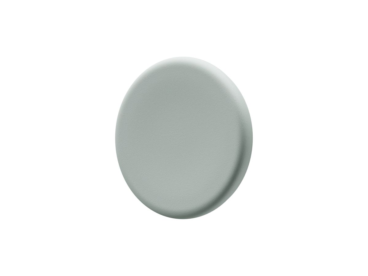 LEGAMASTER Glasboardmagnet 5 Stück 7-181634 salbeigrün (8713797108645)