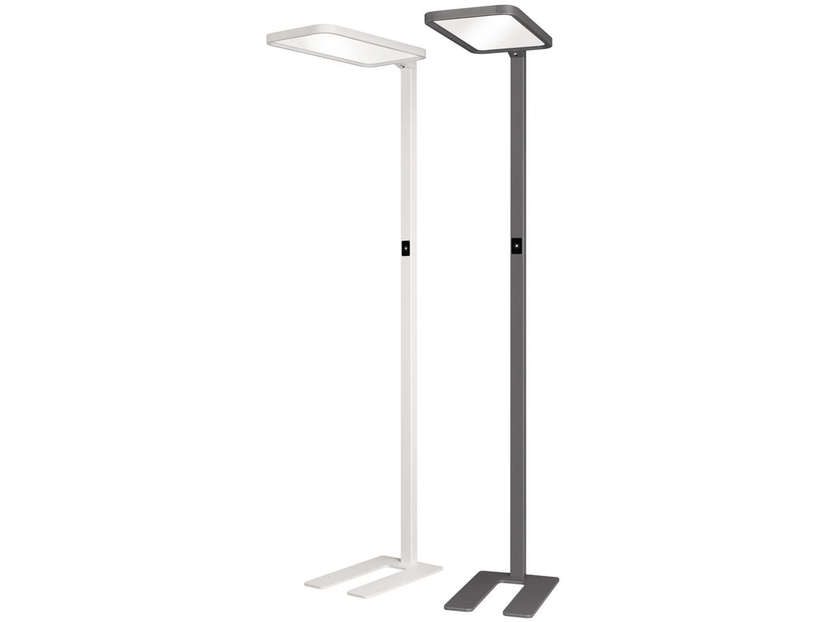HANSA Stehleuchte 41-5010.702.CH Saphir anthrazit (7612176083775)