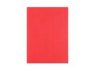 NEUTRAL Notizbuch A4 664030 rot, blanko 96 Blatt (7612532036148)