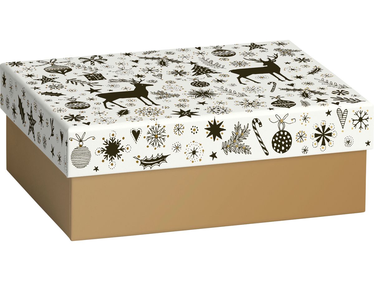 STEWO pacco regalo 2551538497 Cedric 120x165mm (7630050862797)