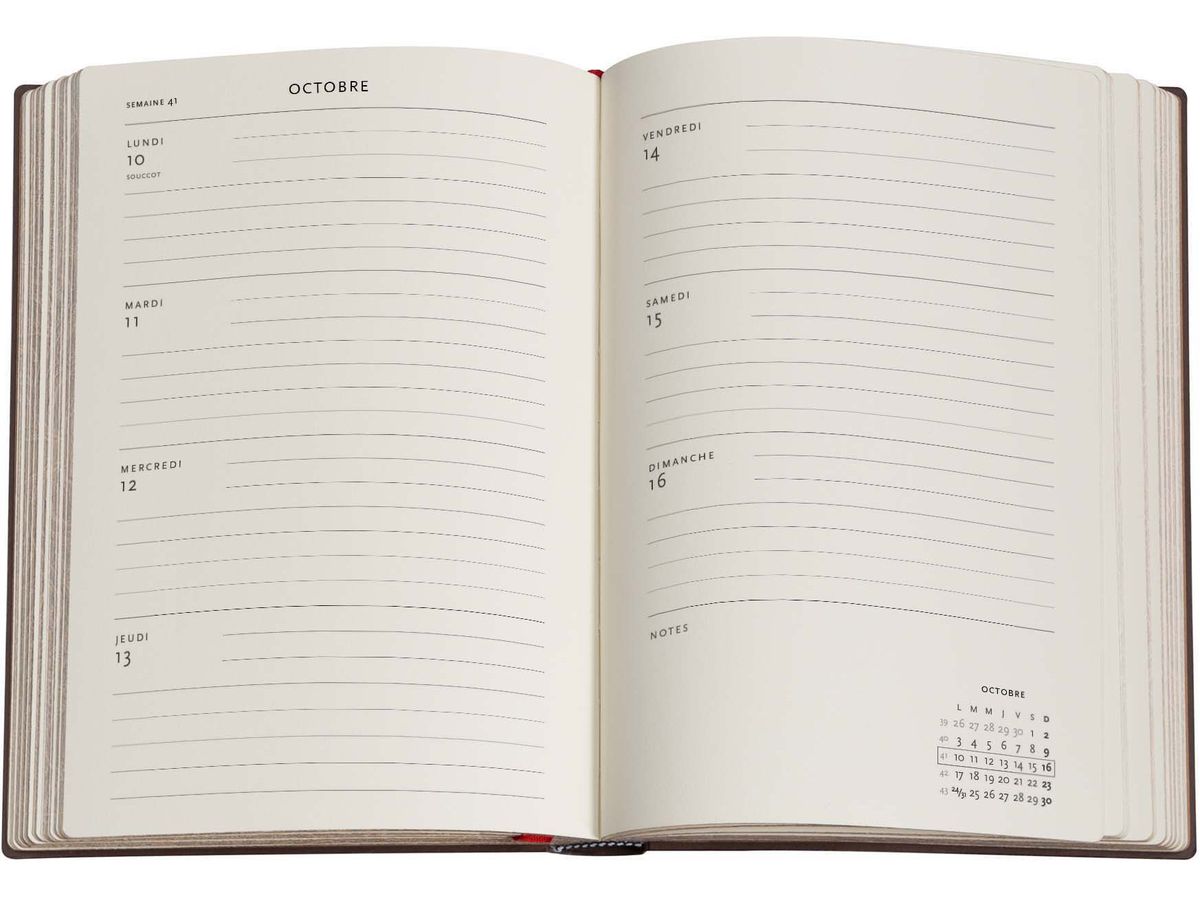 PAPERBLANKS Agenda Chèvrefeuille Rose 2026 FF1090-7 1W/2S HOR Maxi SC FR 13.5x21cm (9780349710907)