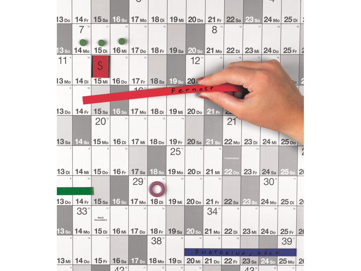 MAGNETOPLAN Ruban Magnetoflex 1260506 rouge 5mmx1m (4013695007779)