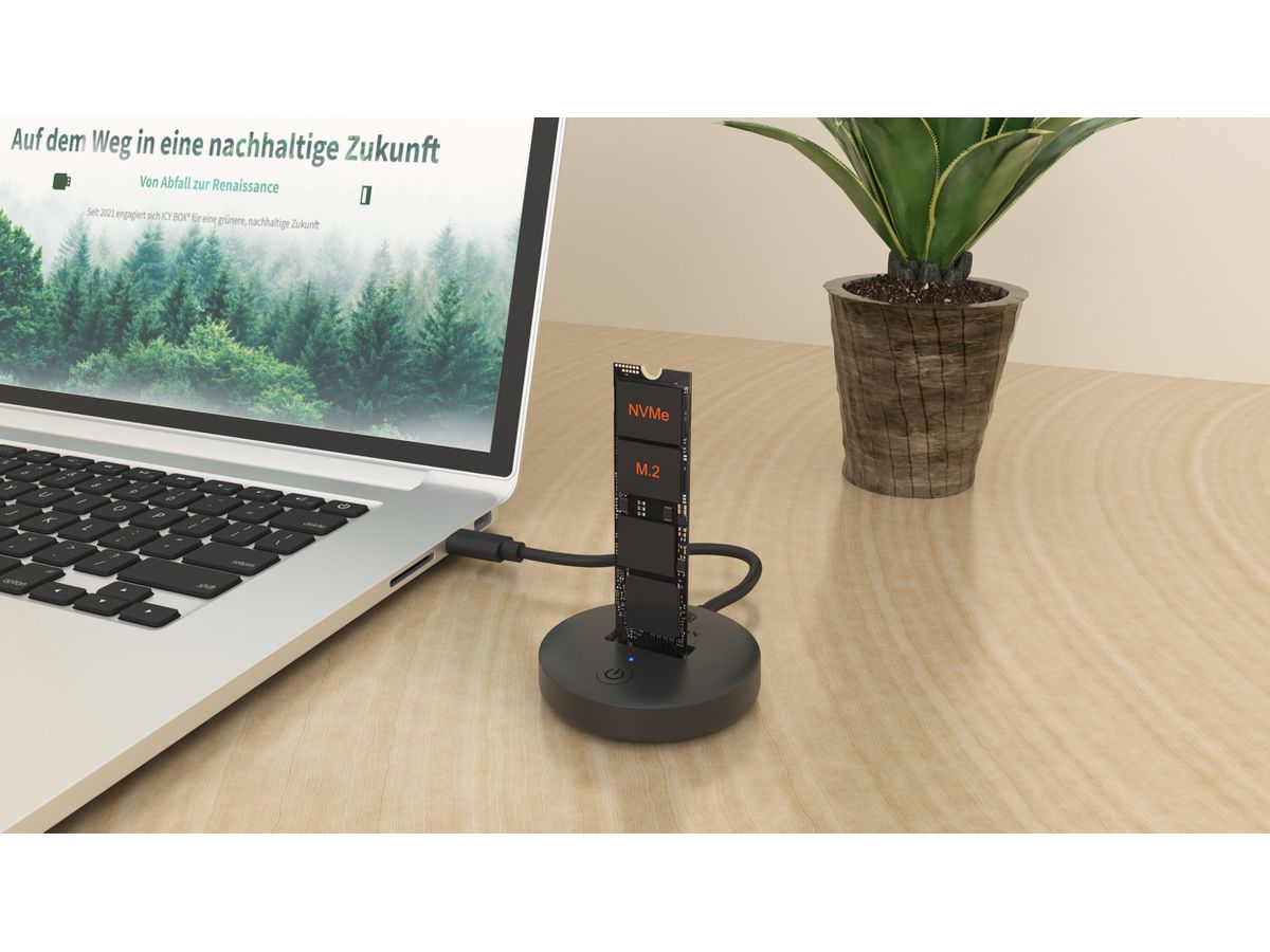 ICY BOX DockingStation for NVMe & IB-1610MCD-C31 SATA M.2 SSD (4250078175100)