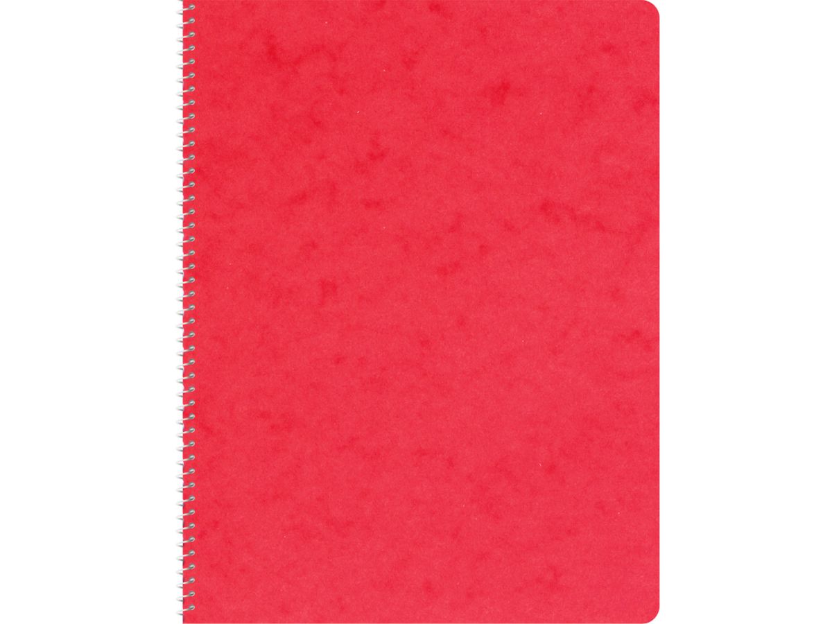 NOVOOO Quaderno spirale 17.5×22cm 729780 scacchi,4mm,70g, ass. 48 fogli (9010729086767)