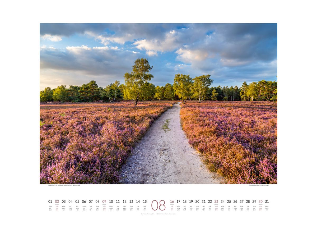ACKERMANN Bildkalender 2026 2634 Wege ML 54x48cm (9783838426341)