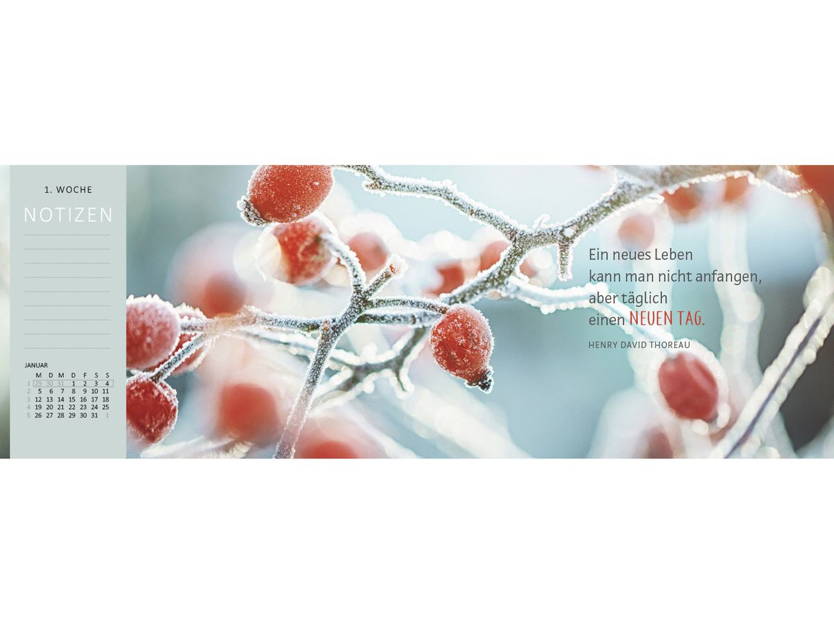 ARS EDITION Calendrier de table 2026 13571 Lebensweisheit DE 29.7x11.5cm (4014489135715)