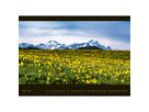 APPENZELLER Bildkalender 2026 9783858829030 Appenzellerland DE 70x50cm (9783858829030)