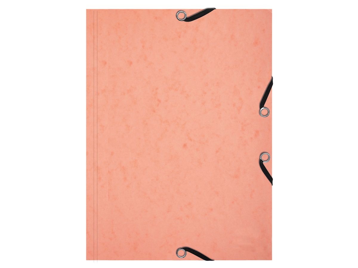 EXACOMPTA Cartellina elastico Aquarel A5 55566E ass.,25 schede (3130630555667)