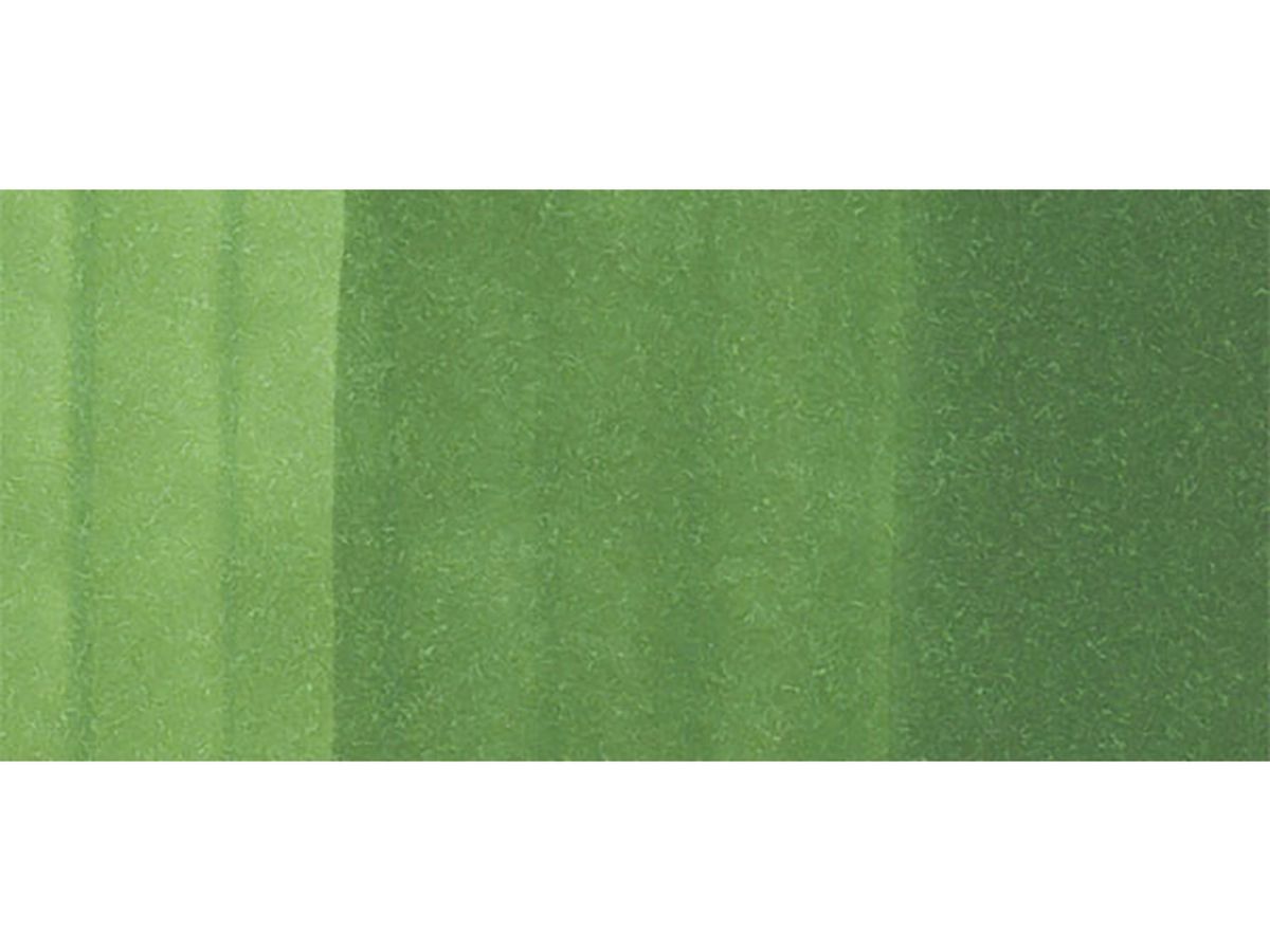 COPIC Marker Sketch 21075205 YG67 - Moss (4511338003602)